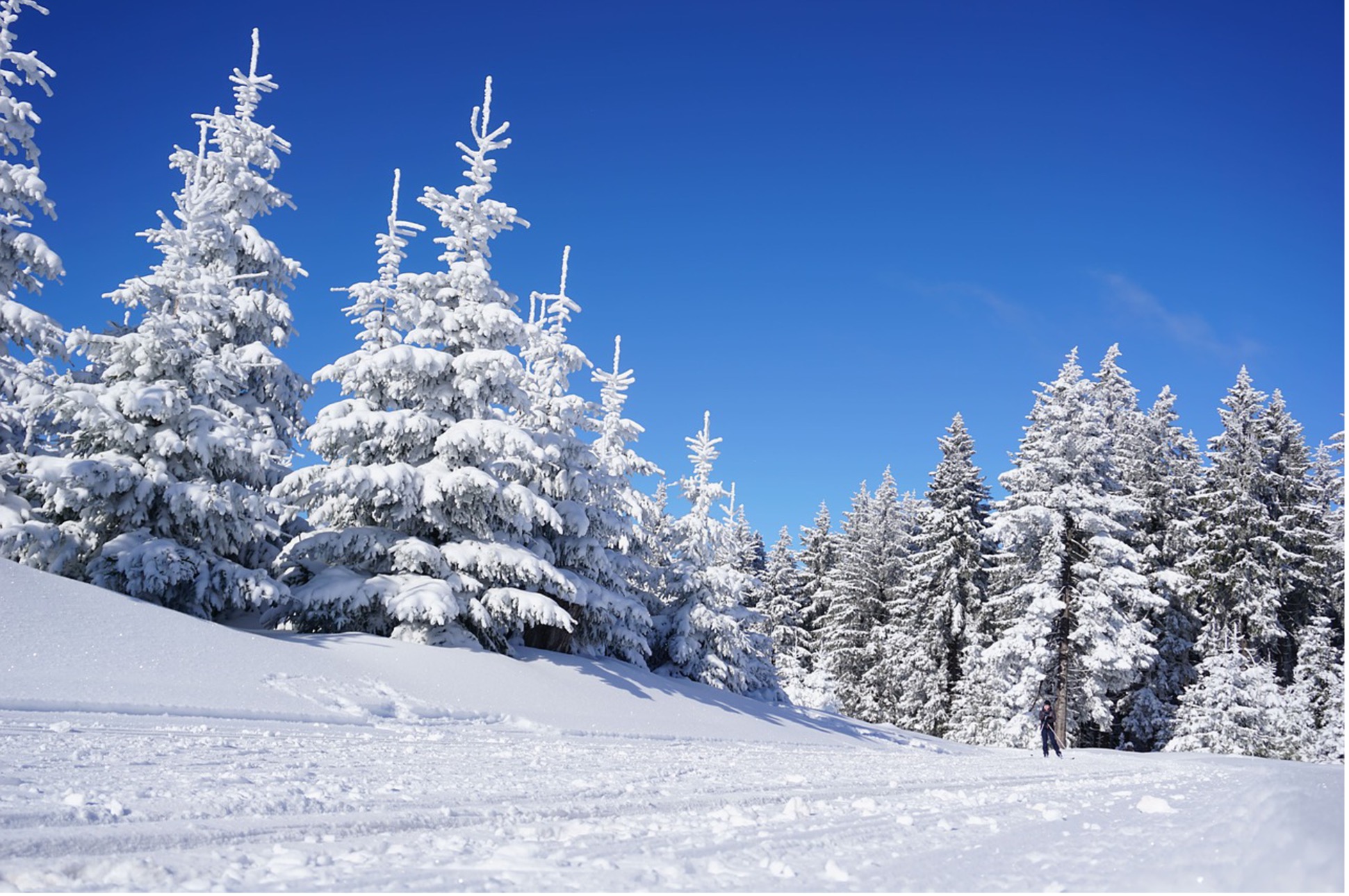 IZLET – 29.12.2024. – Zimski izlet u nepoznato