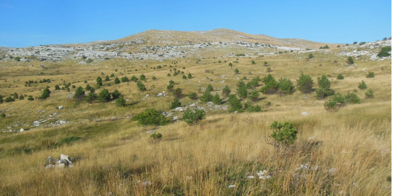 IZLET – 26.-28.09.2025. – Kijevski Kozjak – vrh Bat 1206 m, Dinara – Velika Duvjakuša  1709m, Mali Maglaj 1455 m (HPO vrhovi)